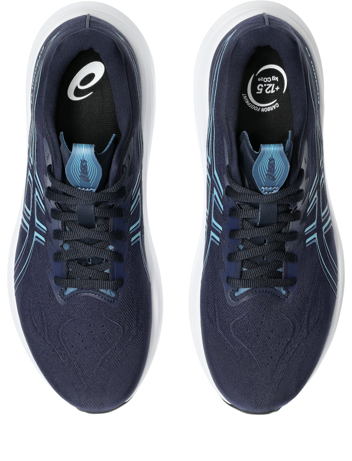 Mens Asics GT-2000 14 (Wide)